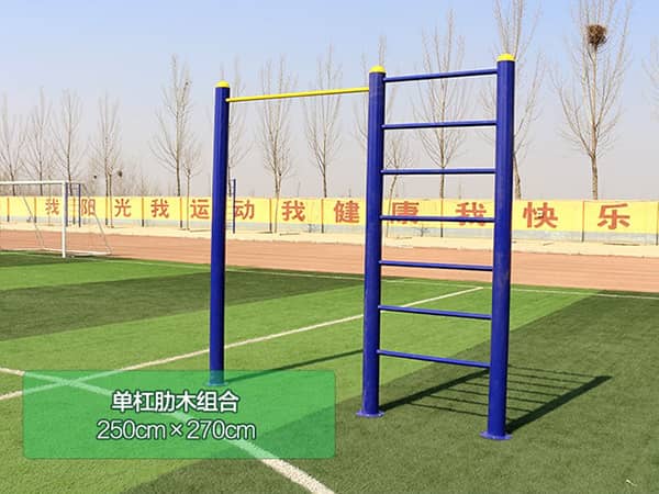 單杠肋目組合